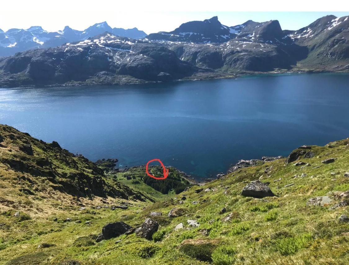 Vettinghytta, Close To The Sea With Amazing View. Gravdal  エクステリア 写真