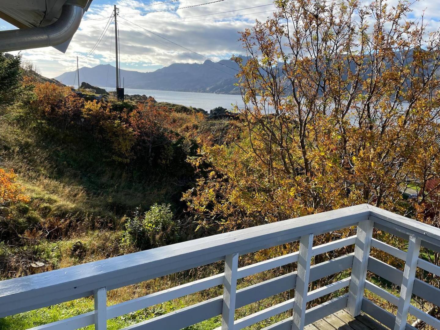 Vettinghytta, Close To The Sea With Amazing View. Gravdal  エクステリア 写真