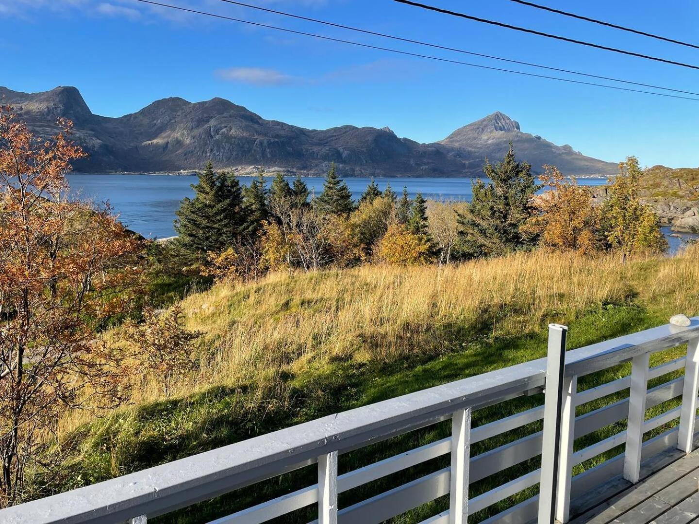 Vettinghytta, Close To The Sea With Amazing View. Gravdal  エクステリア 写真