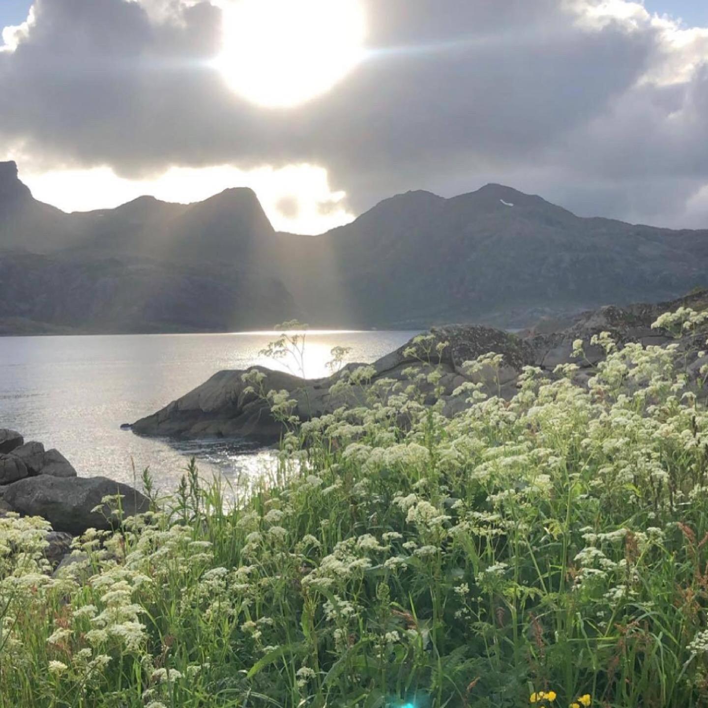 Vettinghytta, Close To The Sea With Amazing View. Gravdal  エクステリア 写真